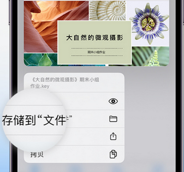 德惠apple维修中心分享iPhone文件应用中存储和找到下载文件