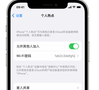 德惠apple服务站点分享iPhone上个人热点丢失了怎么办 