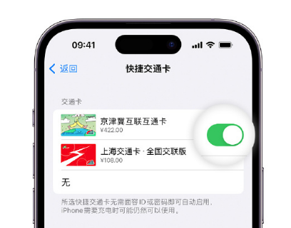 德惠apple维修点分享iPhone上更换Apple Pay快捷交通卡手绘卡面 