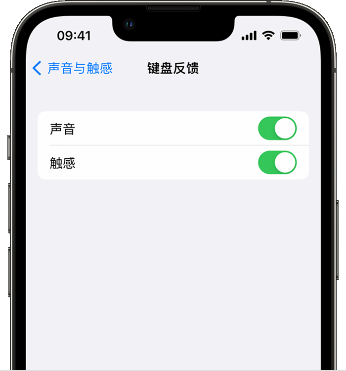 德惠苹果14维修店分享如何在 iPhone 14 机型中使用触感键盘 