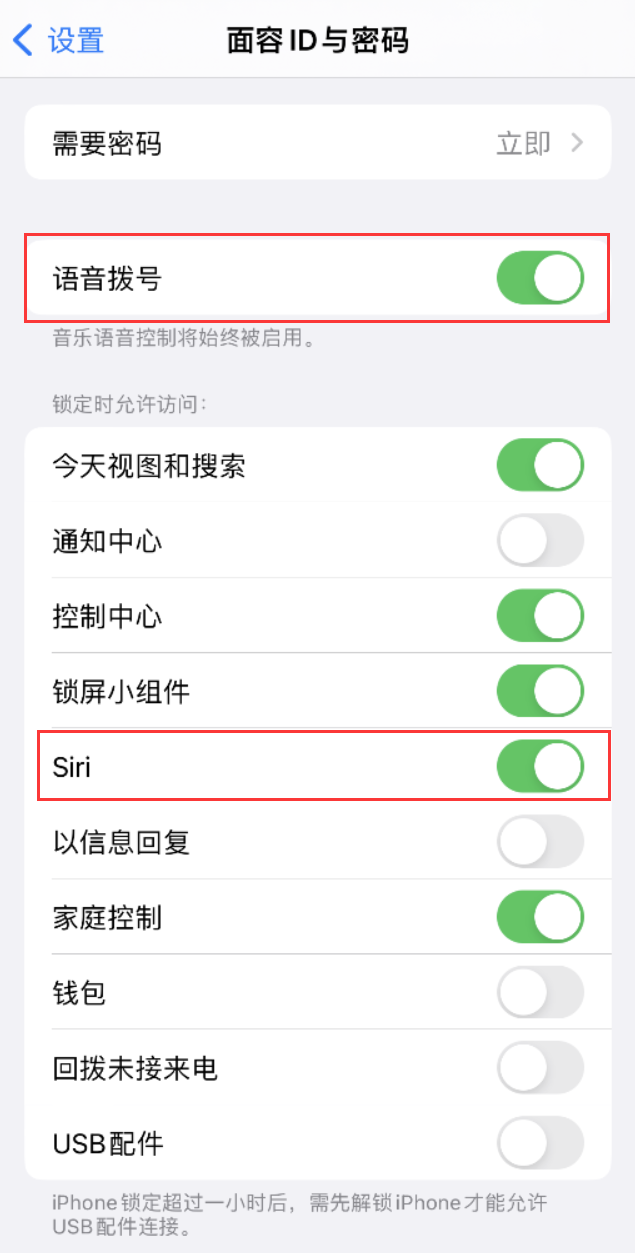 德惠苹果维修网点分享不解锁 iPhone 的情况下通过 Siri 拨打电话的方法 