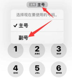 德惠苹果14维修店分享iPhone 14 Pro Max使用副卡打电话的方法 