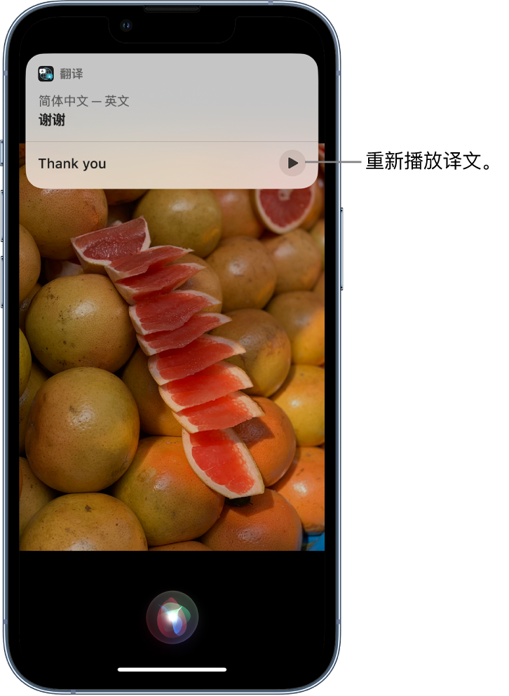 德惠苹果14维修分享 iPhone 14 机型中使用 Siri：了解 Siri 能帮你做什么 