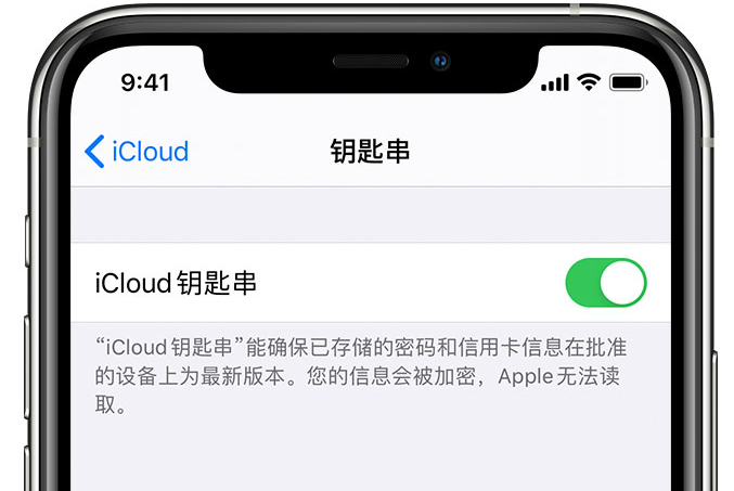 德惠苹果手机维修分享在 iPhone 上开启 iCloud 钥匙串之后会储存哪些信息 