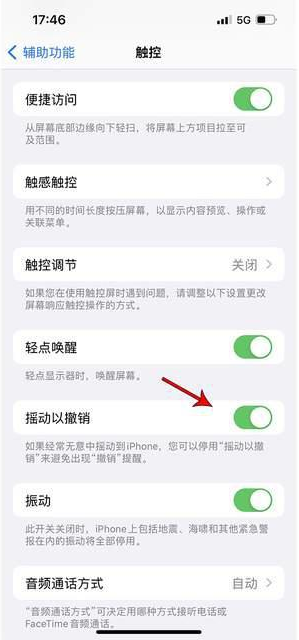 德惠苹果手机维修分享iPhone手机如何设置摇一摇删除文字 